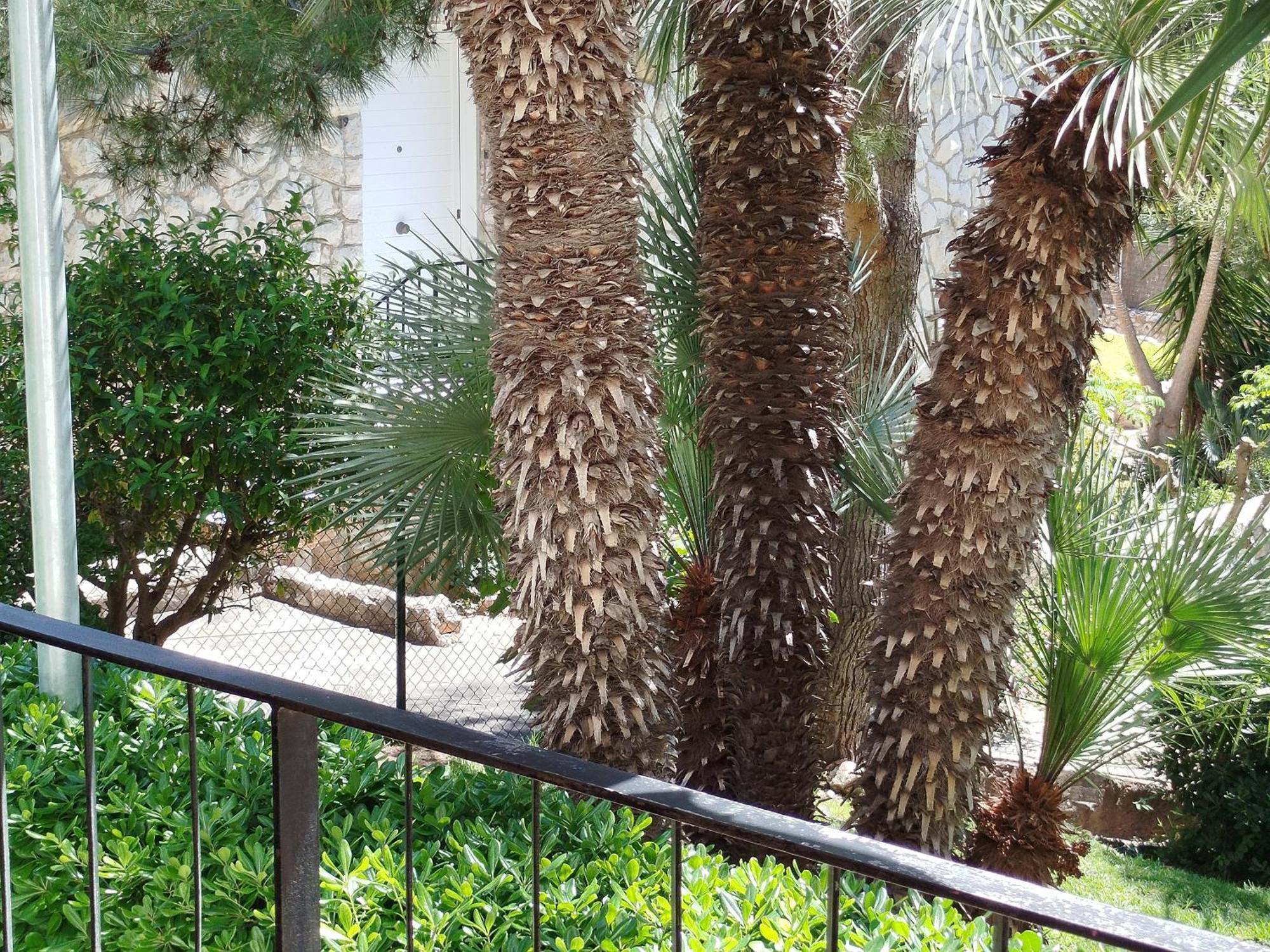 Appartement Brisa Del Mar à Salou Extérieur photo